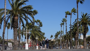 Catalunya retomará la normalidad este