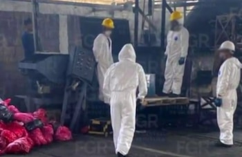 Autoridades federales supervisaron la destrucción