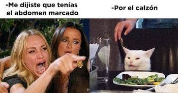 Los 5 memes más graciosos de gatos. (foto: América TV)