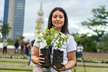 La entrega masiva de plantas se realizó en puntos estratégicos como los redondeles Salvador del Mundo, Constitución, Reloj de Flores y Shafik Handal.