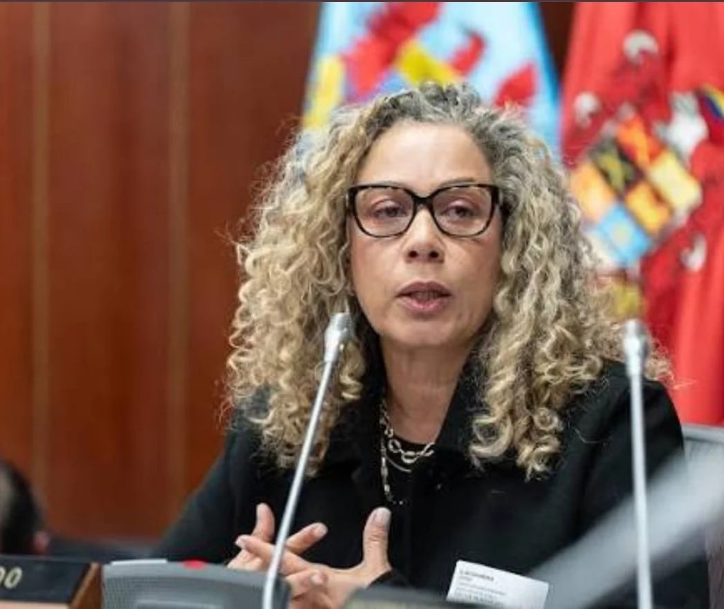 Elvira de las Mercedes Sanabria Salazar es la actual secretaria general de la Cancillería y fue designada en provisionalidad como primera secretaria de Relaciones Exteriores en el Consulado de Colombia en Nueva Loja, Ecuador.- crédito Cancillería