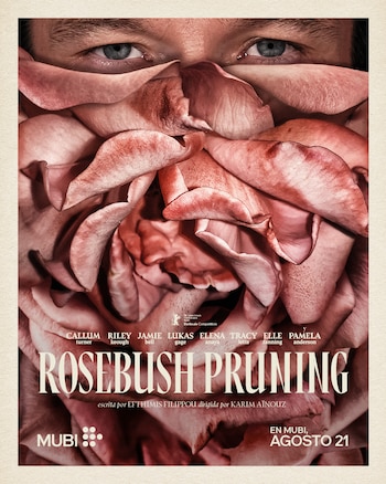 Póster de película. Ojos azules entre pétalos de rosa rosados, título 'Rosebush Pruning', nombres de actores, director y escritor. Logo de Mubi y Berlinale