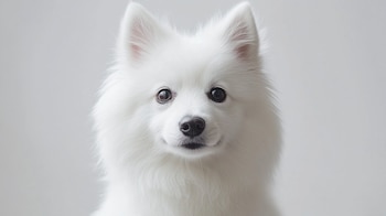 Con algunos cuidados sencillos y