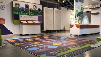 Este es el laboratorio experimental