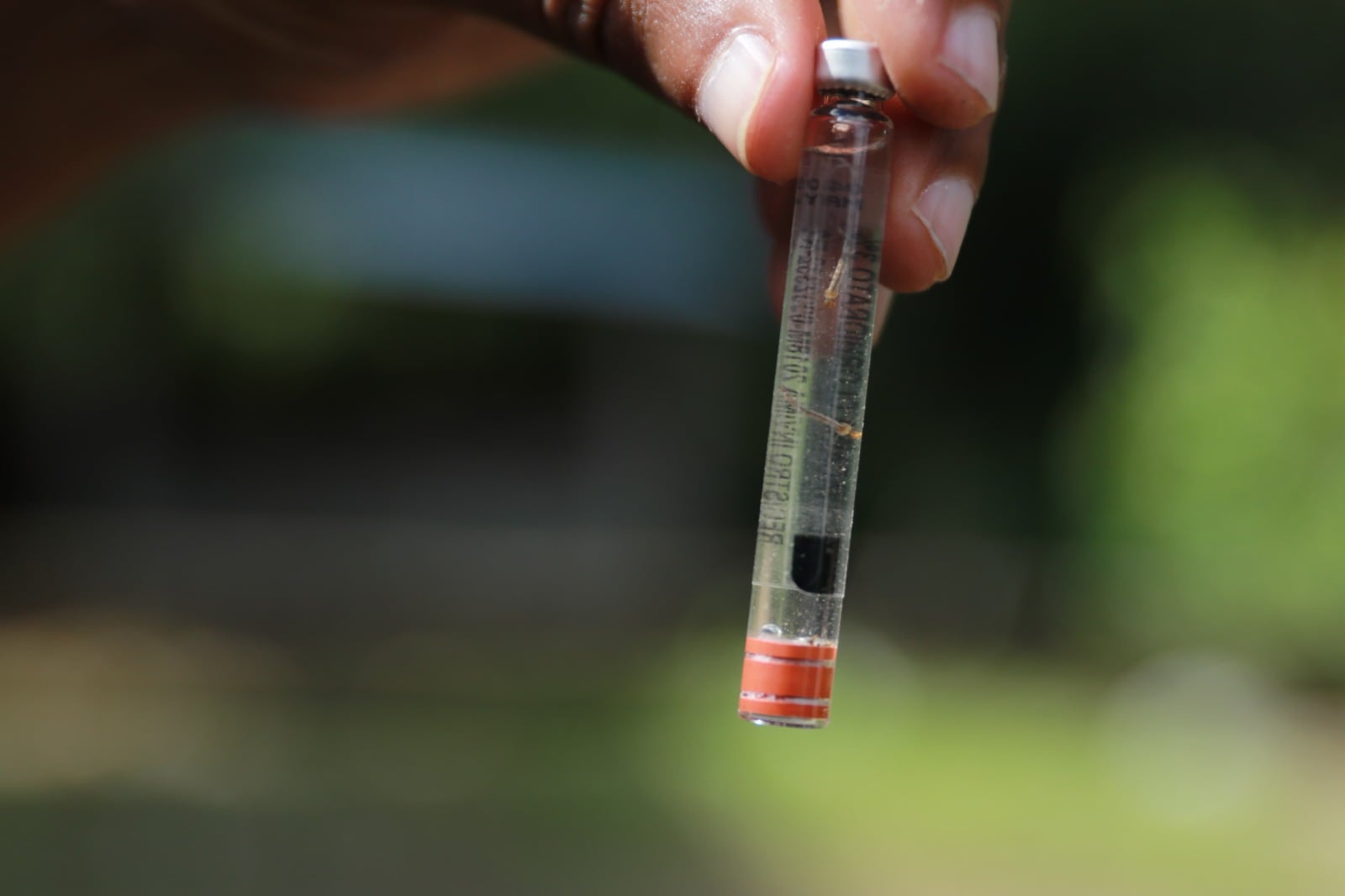 En Panamá, las autoridades reiteraron el llamado a la población a eliminar recipientes con agua estancada.