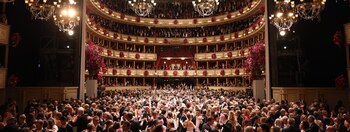 Viena Baile