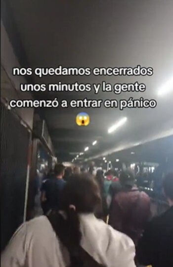El Tren Ligero estuvo a