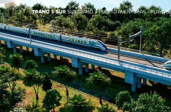 INAI argumentó que el decreto