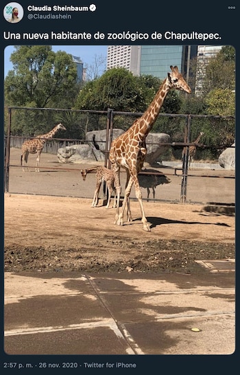 Por medio de su cuenta