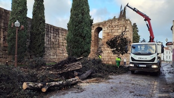 'Kristin' deja a su paso