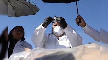 Trabajos de destrucción de drogas