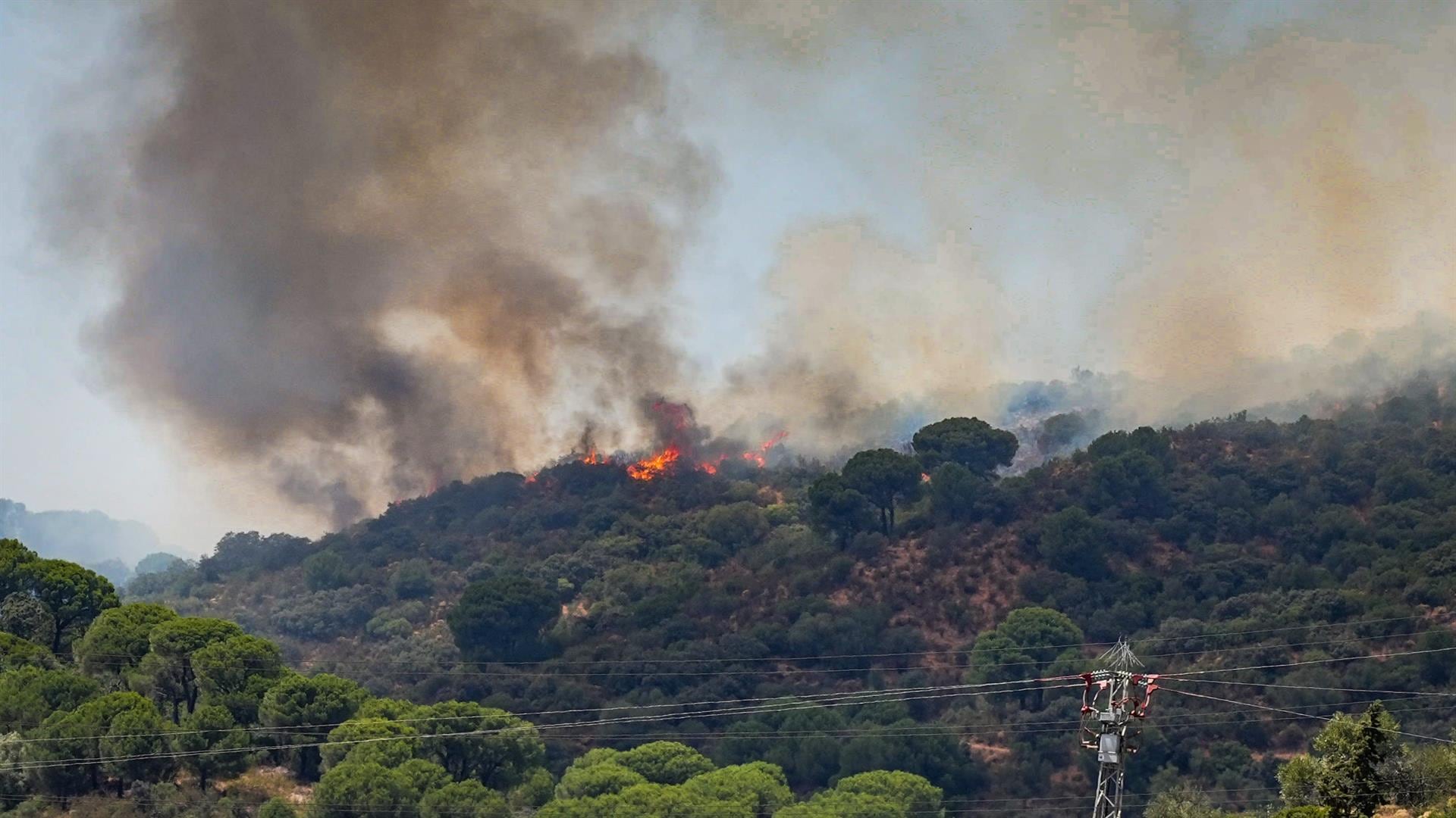 Los incendios forestales han quemado casi 126.000 hectáreas en lo que va de año