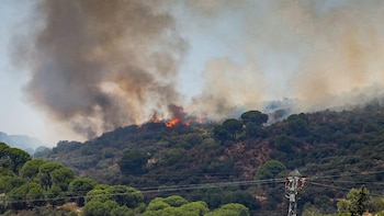 Los incendios forestales han quemado casi 126.000 hectáreas en lo que va de año