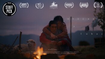 ‘Ovejas y Lobos’, el cortometraje