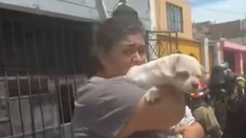 Policías arriesgaron su vida para rescatar a un perro que quedó atrapado en el segundo piso de una vivienda incendiada en el Callao - Créditos: Captura de pantalla de TVPerú.