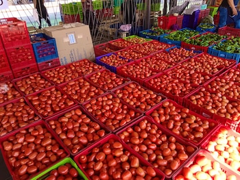 Las autoridades salvadoreñas atribuyen la