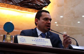 Diputados de diferentes partidos manifestaron