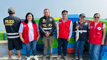Más de tres toneladas de pescado serán destinadas a alimentación de menores del Inabif. (Foto: MIMP)