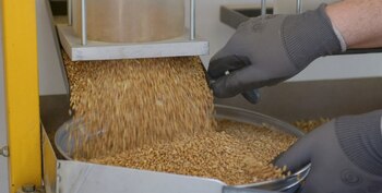 El gigante asiático está sumando