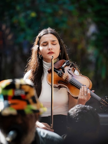 tamara meschller