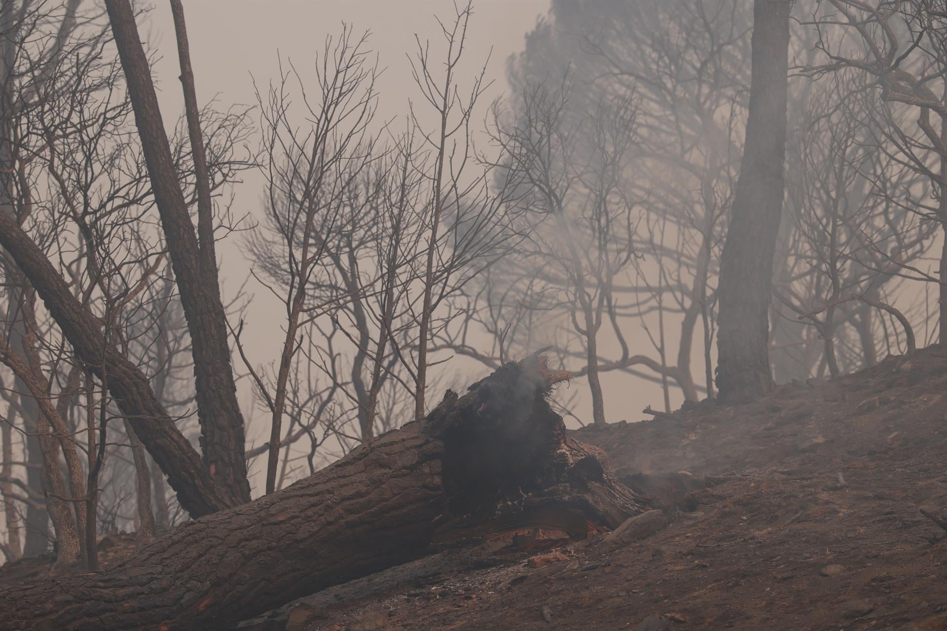 El frente toledano del incendio de Ávila está "a 200 metros" de quedar "consolidado y perimetrado"
