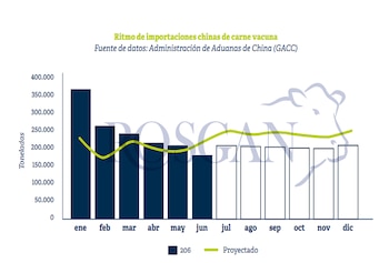 Ritmo de importaciones chinas de carne vacuna