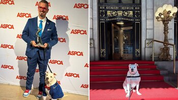 Cole y su dueño han