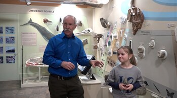 Molly en el museo marino