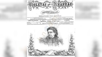 Violetas de Anáhuac