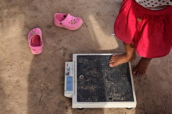 El porcentaje de población desnutrida