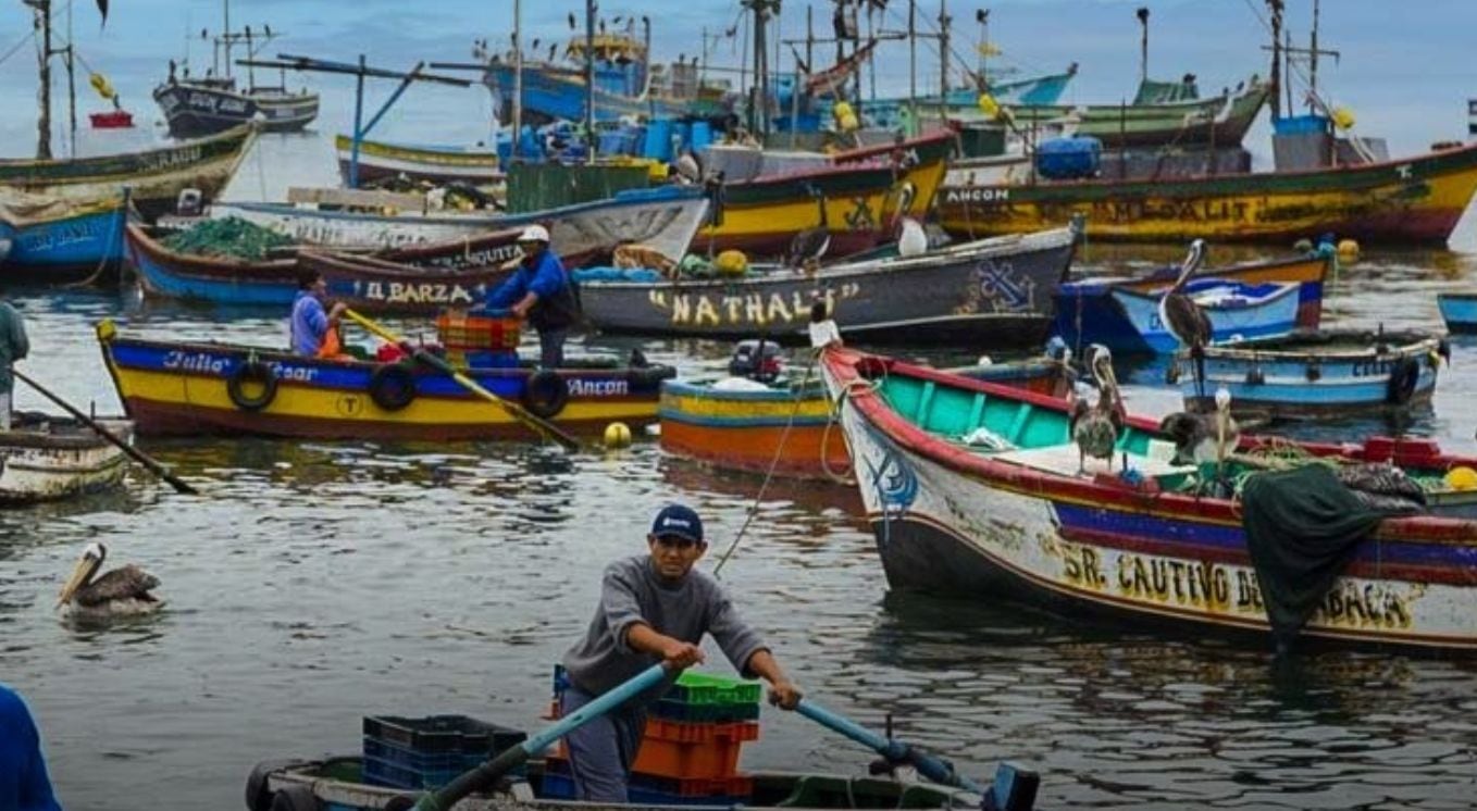 En el norte del país, el avance exportador fue sostenido principalmente por las actividades minera, agroindustrial y pesquera. Foto: Oannes