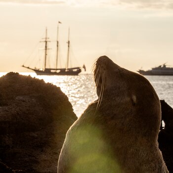 La expedición recorrerá la travesía