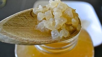 Cómo preparar búlgaros de agua: