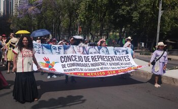 El Concillo de Representative