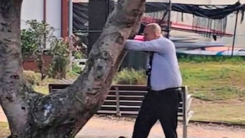 Quién fue el agente que