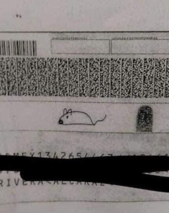 Usuarios en rede sociales viralizaron