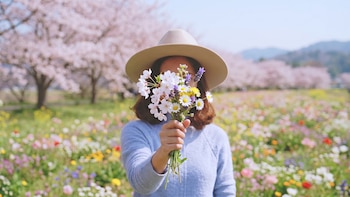 Comienza la primavera: 50 frases para enviar por WhatsApp