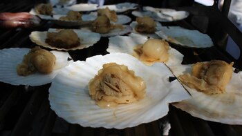 Durante la celebración también se