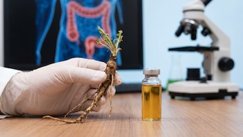 La raíz del Diente de León y el Cáncer de Colon: qué reveló nuevo estudio clínico sobre su buena relación