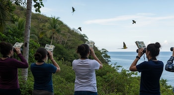 Cuatro personas de espaldas observan aves con binoculares y guías de identificación junto al mar en un paisaje de vegetación tropical.