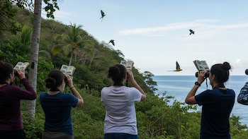 Por qué la observación de aves se convirtió en tendencia entre los más jóvenes