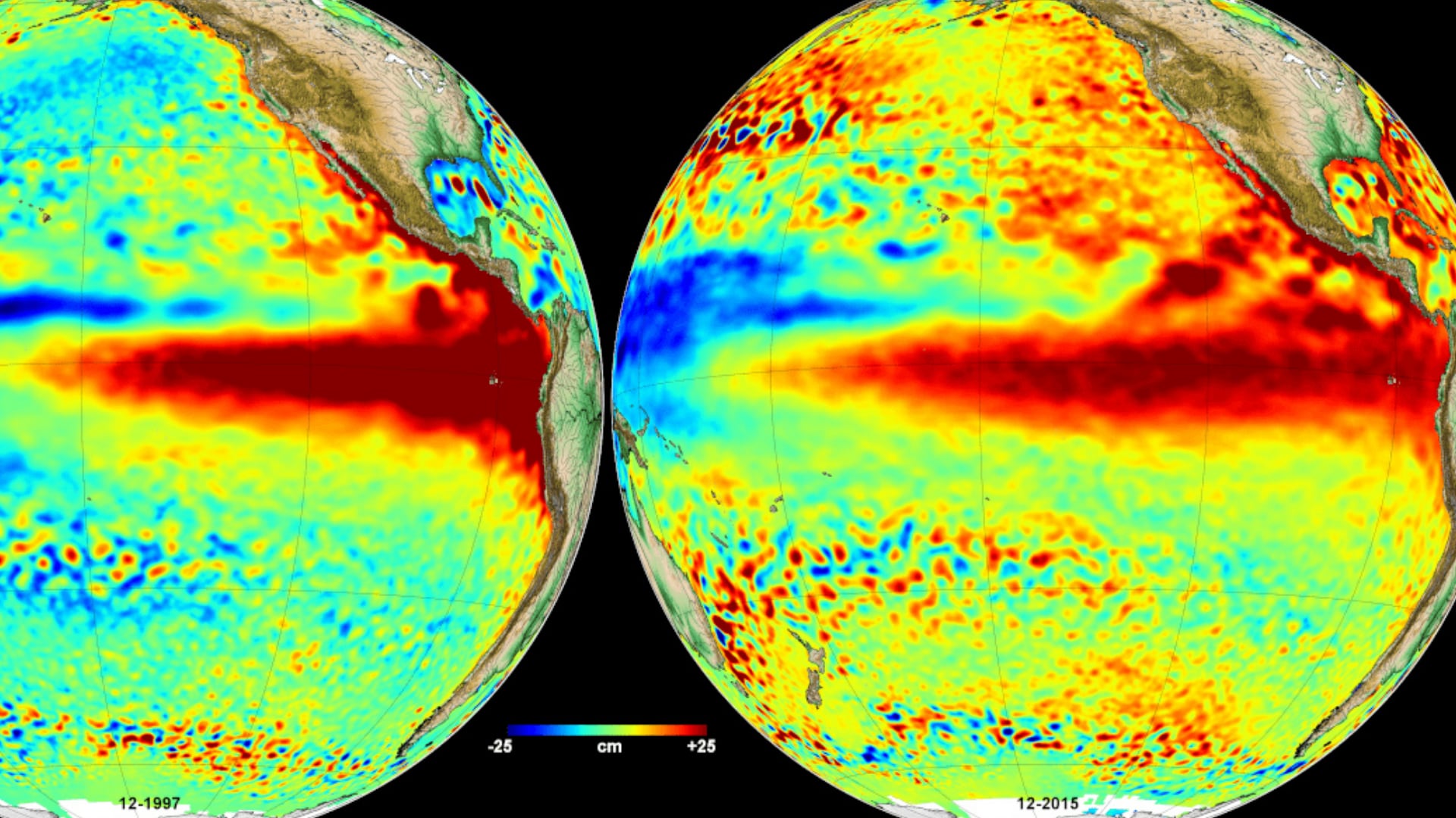 La reconstrucción del ENSO con corales de las islas Galápagos no halló equivalentes de la intensidad actual de El Niño en los últimos 1.000 años