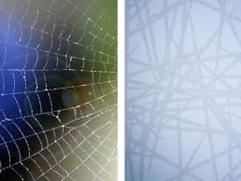 Los vidrios especiales con luz flurescente que evita el choque de palomas (AGlas)