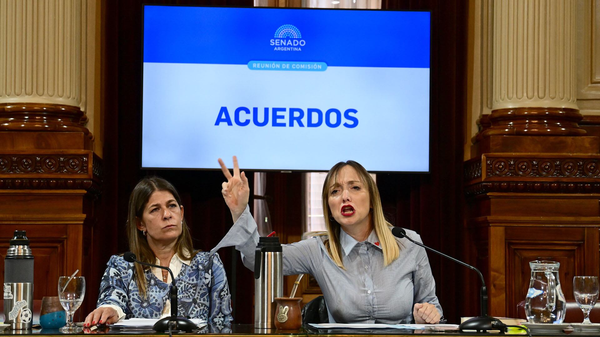 La presidenta de la comisión de Acuerdos, Guadalupe Tagliaferri (Ciudad de Buenos Aires), escucha a la vice de la misma, la kirchnerista Anabel Fernández Sagasti (Maximiliano Luna)
