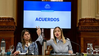 La presidenta de la comisión