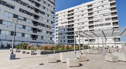 Le prestó un departamento a una amiga y la tuvo que echar con un juicio de desalojo: el perturbador video que muestra cómo dejó la propiedad