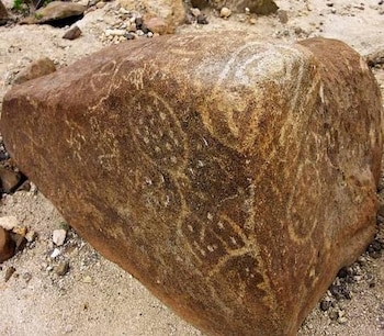 Imagen de los petroglifos encontrados.