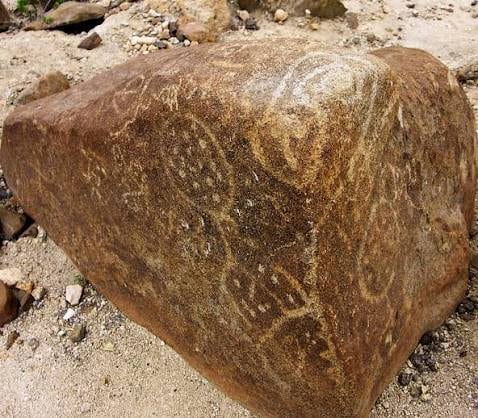 Imagen de los petroglifos encontrados.