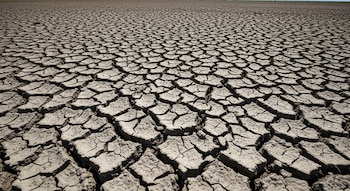 Primer plano de un vasto campo de tierra seca y agrietada, con el suelo fragmentado en innumerables piezas bajo la luz intensa del mediodía.