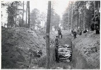 Ejecución masiva en el campo